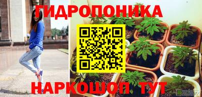 амф Севастополь