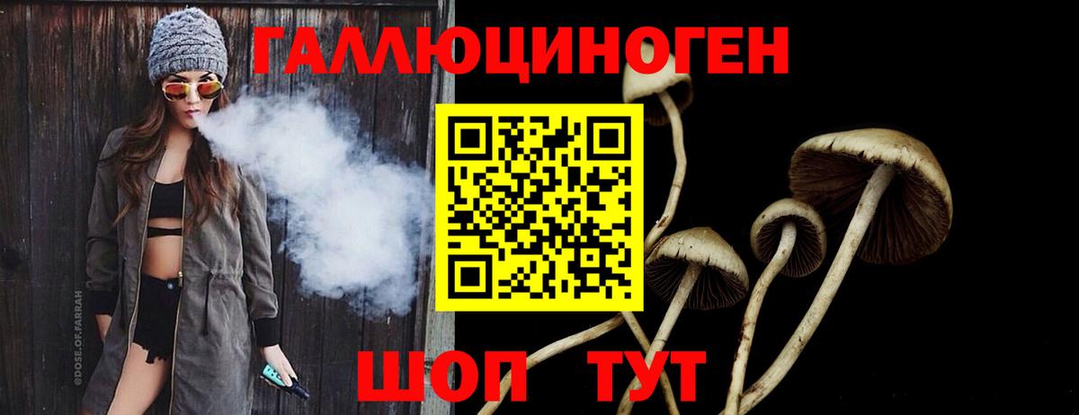 Псилоцибиновые грибы мицелий  Вход с VPN  Протвино 